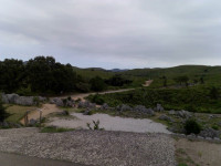 IMG_20260910_093826