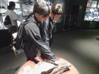 IMG_20260910_145752
