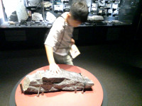 IMG_20260910_145804