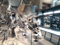 IMG_20260910_150153