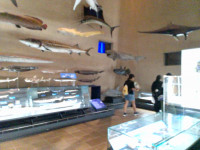 IMG_20260910_150714